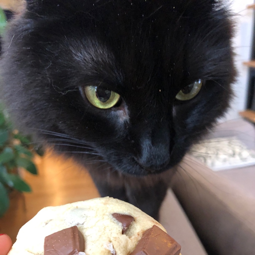 Meet your Posher, Alisa